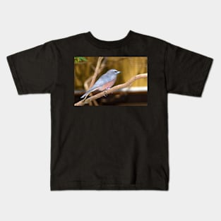 White-browed Wood Swallow Kids T-Shirt